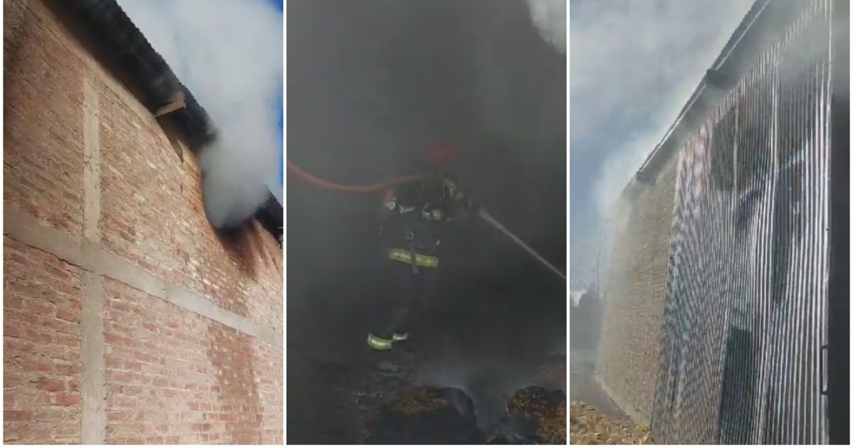 Devastador incendio arrasa con una finca de Jáchal y provoca pérdidas