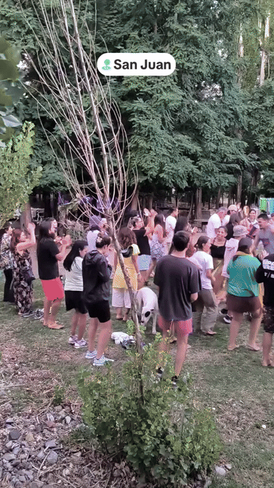 Hubo juntada de abraza árboles en Iglesia y se hizo viral en las redes