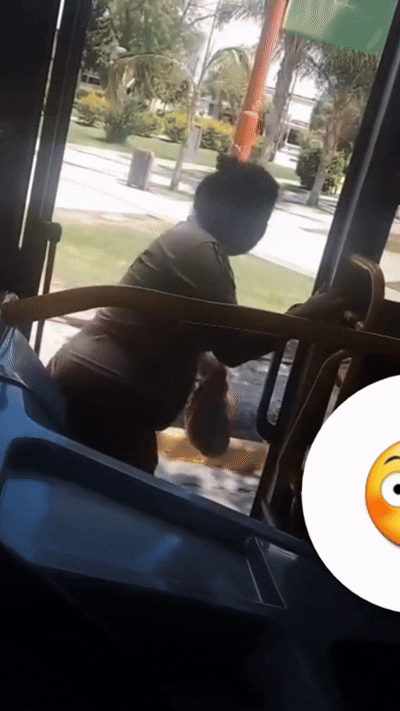 Video: en Chimbas, una mujer insultó a un chofer de la Red Tulum y lo amenazó con robarle el celular Video: en Chimbas, una mujer insultó a un chofer de la Red Tulum y lo amenazó con robarle el celular