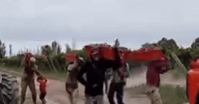 Gamelas al hombro y al ritmo del tunga tunga: cosechadores sanjuaninos que se hicieron virales en TikTok