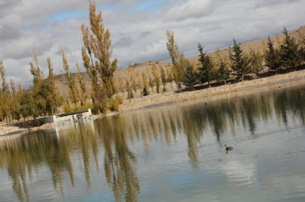 Pampas del Cura: inauguran la primera cava winebar de Iglesia