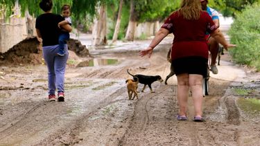 Qué dice el Comité de Emergencias sobre las clases y la vacunación de adultos mayores