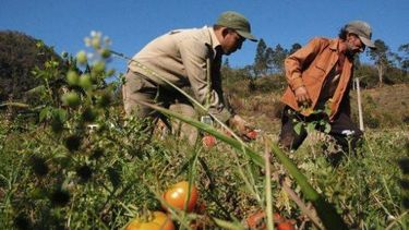 Videos: los trabajos menos conocidos de los famosos sanjuaninos
