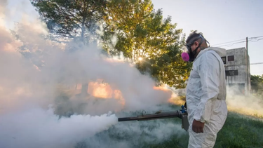 Advierten por falsos fumigadores que ingresan en las casas y roban en San Juan