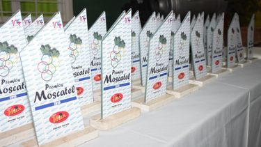 En reconocimiento de deportistas e instituciones, llegan los Premios Moscatel 2021