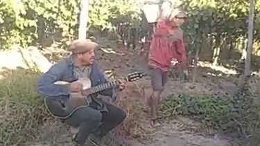 José Chacón, el sanjuanino que les canta a sus compañeros en medio de los parrales.