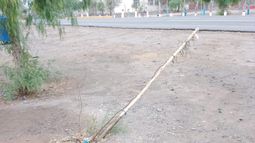 Vandalismo: dañaron árboles plantados por promesantes en la Difunta