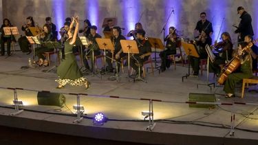 Convocan a sanjuaninos a diseñar el afiche de la Feria Flamenca y habrá un premio de $150.000