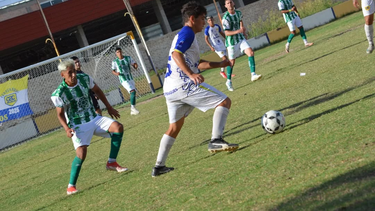 Foto: Colón Junior. Foto: Colón Junior.