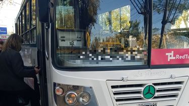 Mirá el viral y curioso nombre de un colectivo sanjuanino