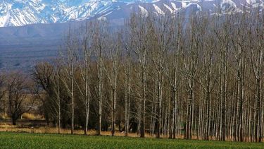 Calingasta es nuevamente el destino más elegido por los turistas