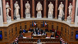 Francia restituirá bienes culturales expoliados a las colonias entre 1815 y 1972