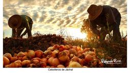 Las impactantes imágenes con las que un jachallero cautiva no solo a jachalleros