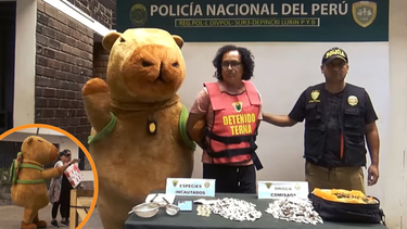 Insólito operativo en Perú: un capibara protagonizó la detención de un narco