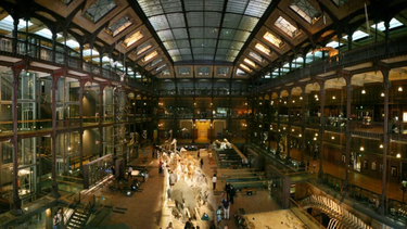 El Museo de Historia Natural de París, víctima de un asalto millonario.