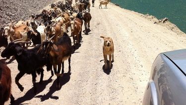 Agua Negra batió el récord de turistas del año pasado