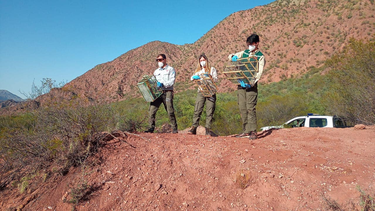 La implementación de una red de trabajo permite rescatar el doble de animales autóctonos en San Juan.