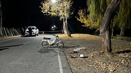 Tragedia en Angaco: un motociclista chocó contra un árbol y falleció en el acto Tragedia en Angaco: un motociclista chocó contra un árbol y falleció en el acto