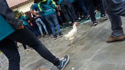 El “último primer día”: la moda de arrancar borrachos el último año