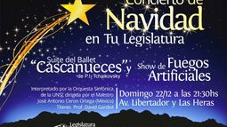 Fuegos artificiales y show en el festejo de fin de año de la Legislatura