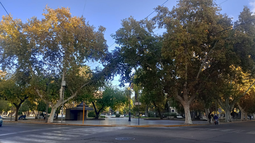 Cómo estará el clima en San Juan este jueves, según el pronóstico del Servicio Meteorológico Nacional.