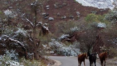 Las más lindas postales del manto blanco sanjuanino