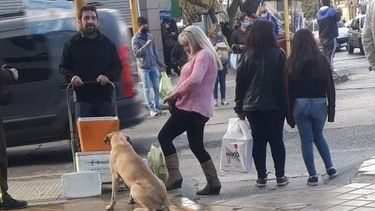 Sanjuanina compró empanadas para un perrito callejero y la imagen se volvió viral