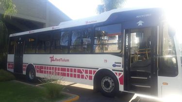 Aparecieron los primeros colectivos ploteados de la Red Tulum: así quedaron