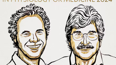 Los ganadores del Premio Nobel de Medicina 2024.