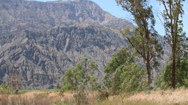 Un paso, un descubrimiento: el ecosistema a 20 km de la ciudad que esconde tesoros autóctonos de San Juan