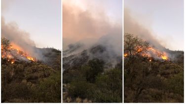 Imágenes del incendio en Valle Fértil.