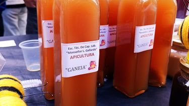 El Gancia de miel, la novedad que nació de la mano de una escuela de capacitación laboral de San Juan