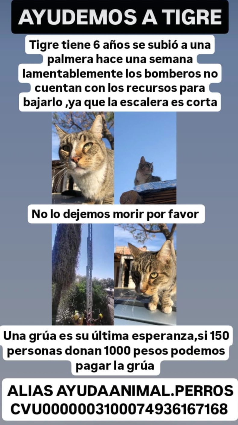 Qué significa la frase \, image size:790x1408