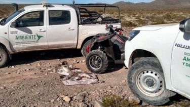 Atraparon a dos cazadores furtivos con animales muertos en Iglesia