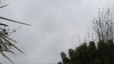 Jueves con algunas nubes y con máxima de 33º, ¿llegaremos?