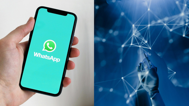 El nuevo WhatsApp: aprendé cómo usar sus nuevas funciones