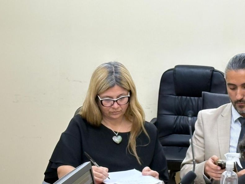 Fiscal Daniela Pringles de UFI Genérica