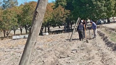 alumnos de zonda comenzaron a armar su propio proyecto vitivinicola en la escuelas agrotecnica alumnos de zonda comenzaron a armar su propio proyecto vitivinicola en la escuelas agrotecnica