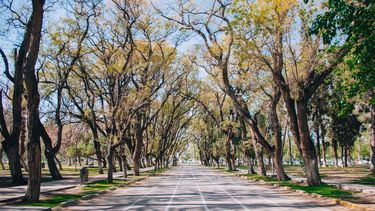 El Parque de Mayo se prepara para recibir a los sanjuaninos