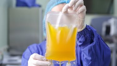 Hay escasez de plasma en San Juan: piden la solidaridad de quienes contrajeron el virus para donar