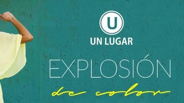 Explosión de color