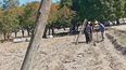 alumnos de zonda comenzaron a armar su propio proyecto vitivinicola en la escuela agrotecnica alumnos de zonda comenzaron a armar su propio proyecto vitivinicola en la escuela agrotecnica