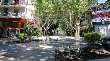 Mirá cómo funcionarán los servicios este finde largo