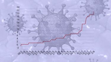 Radiografía del coronavirus en San Juan: todos los gráficos y números
