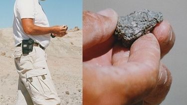 Un increíble hallazgo mundial en Ischigualasto: Taytalura alcoberi, el abuelo de los lagartos