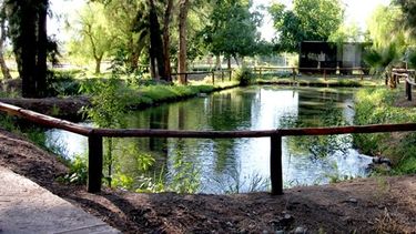 Biodiversidad: el parque distinto de San Juan es el más verde y húmedo de la provincia