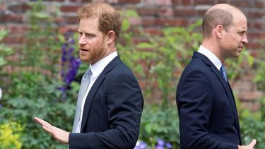 El príncipe Harry y su hermano William, durante un encuentro de la corona británica.