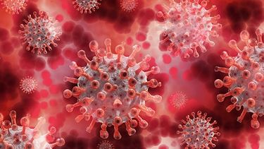 A dos días de conocerse los casos 21 y 22, estos son los números de coronavirus en San Juan