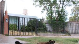 Tras un nuevo ataque en Chimbas: ¿funciona la ley de perros peligrosos en San Juan?