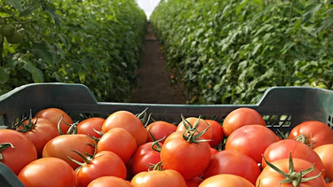 Atención productores sanjuaninos: el Gobierno de la Ciudad de Buenos Aires convoca a participar de una importante feria